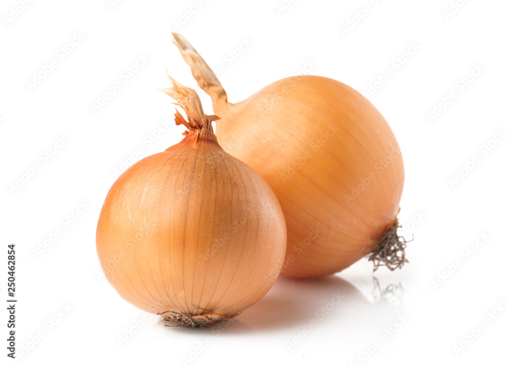 Raw onion on white background