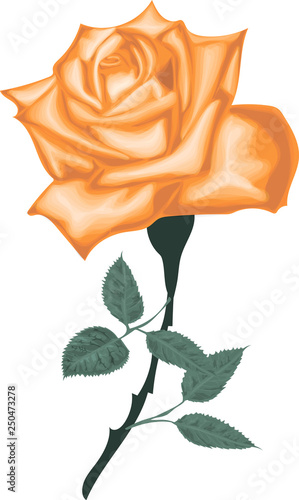 Beautiful Golden Rose On A White Background Buy This Stock Vector And Explore Similar Vectors At Adobe Stock Adobe Stock