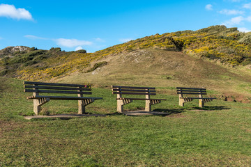 Three empty wooden benches in a row, positioned in front of a landscape of hills, with yellow flowers. Blue sky and clouds behind. With space for text.