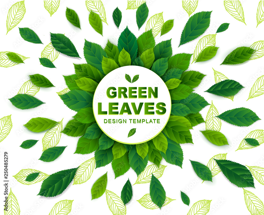 Vector background with green leaves in a circle. Template for design ...