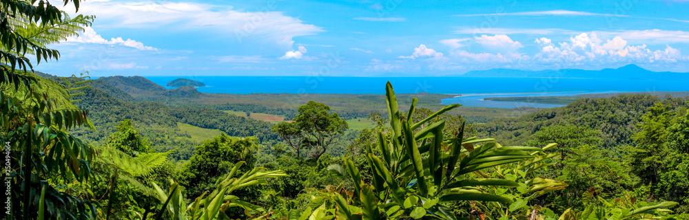 panoramic view over the australian rainforest with river and coastline, cairns australia - obrazy, fototapety, plakaty 