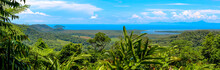 Panoramic View Over The Australian Rainforest With River And Coastline, Cairns Australia