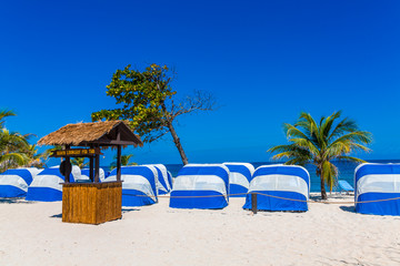 Wall Mural - Blue and White Covered Chaise Lounges on a Beach with Palm Trees