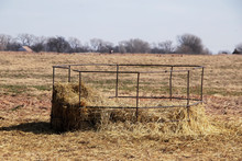 Old Metal Round Bale Hay Feeder With Leftover Hay In Bottom Out In Field In Winter Time With Trees On The Fenceline On Horizon