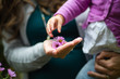 © Sarah Rypma - Toddler reaches for flowers