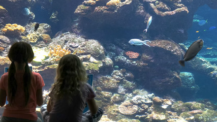 children identify fish in a large public aquarium