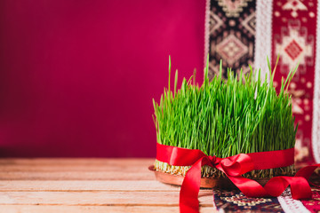 Wall Mural - Green fresh semeni sabzi wheat grass on vintage plate decorated with red satin ribbon against dark pink or red background on national style table cloth, Novruz spring celebration in Azerbaijan
