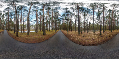 Wall Mural - full spherical hdri panorama 360 degrees angle view on asphalt pedestrian footpath and bicycle lane path in pinery forest in equirectangular projection. VR AR content