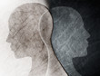 © melita - Bipolar disorder mind mental concept. Change of mood. Emotions. Split personality. Dual personality. Head silhouette of man on black and white background