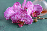 Fototapeta Do przedpokoju - Beautiful orchid flowers and bottle of perfume on table, closeup