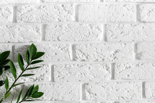 Green Plant Branch On White Brick Wall Modern Home Interior