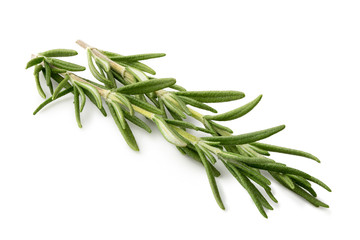 Wall Mural - Freshly picked sprig of rosemary isolated on white.