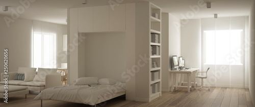 Panoramic View Of One Room Apartment With Murphy Wall Bed