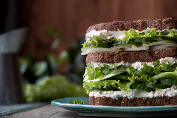 Sticker - Sandwich with lettuce and cucumber. Healthy food.