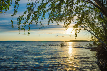 Wall Mural - sunrise, sunset over the river, lake through the green leaves of birch blue sky with clouds.