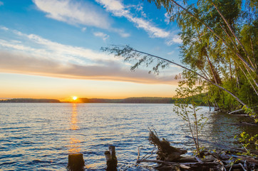 Wall Mural - sunrise, sunset over the river, lake through the green leaves of birch blue sky with clouds.