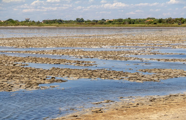 Poster - Camargue in France