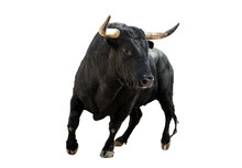 Toro Español