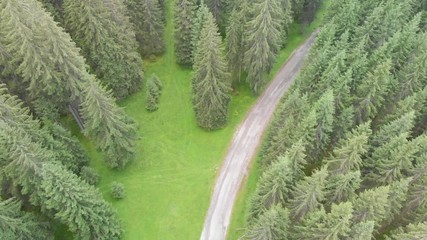 Canvas Print - Dolomites woods, Italy. Aerial view, going down with a drone