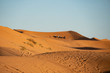 Hochzeits-Karawane in der marrokanischen Wüste