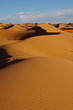 Dünen-Landschaft von Merzouga, Marokko