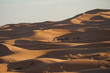 Kamelkarawane in den Dünen der Sahara