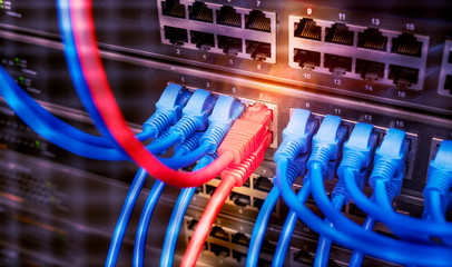 Wall Mural - Network switch and ethernet cables in server room. Patch cords connected to router in data center. Horizontal technology background