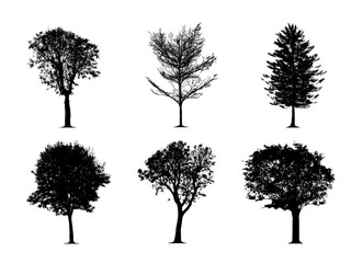 silhouette tree set