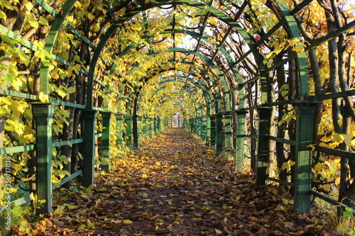Dekoracja na wymiar  jesien-w-parku