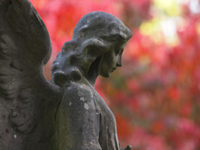 Side View Of Statue Of Angel At Municipal Cemetery In Amsterdam, The Netherlands