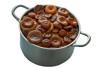 Marinated mushrooms in a pot isolate natural