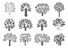 Vector Hand Drawn Sketch Of Tree Illustration On White Background