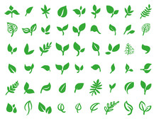 Vector Illustration Concept Of Green Leaves. Colorful On White Background