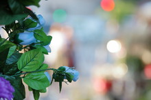 Kompozycja Z Niebieskich I Fioletowych Kwiatów I Zielonych Liści W Lewej Części Obrazu, Pozostała Część Wypełniona Pięknymi Romytymi Kolorowymi Blikami 