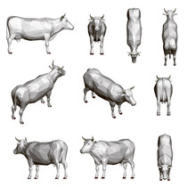 Set With A Cow