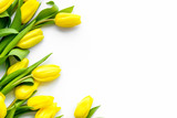 Fototapeta Tulipany - Spring flowers. Yellow tulips on white background top view copy space border