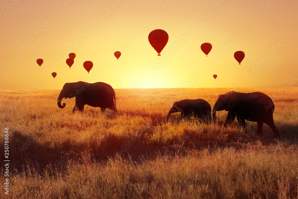 A group of African elephants against the sky with balloons at sunset. African fantastic image. Africa, Tanzania, Serengeti National Park. Summer wonderland. - obrazy, fototapety, plakaty 
