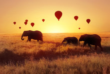 A Group Of African Elephants Against The Sky With Balloons At Sunset. African Fantastic Image. Africa, Tanzania, Serengeti National Park. Summer Wonderland.