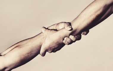 two hands, helping hand of a friend. handshake, arms, friendship. friendly handshake, friends greeti
