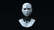 Cyborg with Blue Neutral lighting  Front 3d illustration 3d render