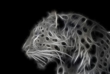 Black-white Fractal Wild Leopard On A Contrasting Black Background
