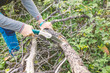 © EdNurg - Man hiker and traveler sawing wood, camping equipment concept