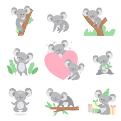 Sticker - Collection of Cute Coala Bear Animals Cartoon Characters in Different Situations Vector Illustration