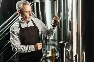 Wall Mural - professional senior brewer examining ale in flask in brewery