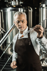 Wall Mural - selective focus of handsome senior brewer examining beer in flask in brewery