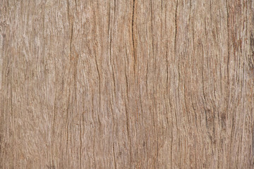 Wall Mural - brown wood texture wall for background