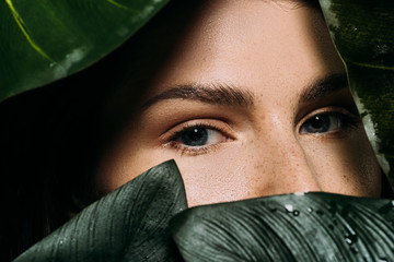 Wall Mural - attractive woman with freckles posing with green palm leaves