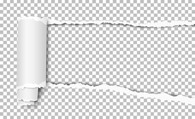Wall Mural - Vector torn hole in sheet of transparent paper with curl and soft shadow