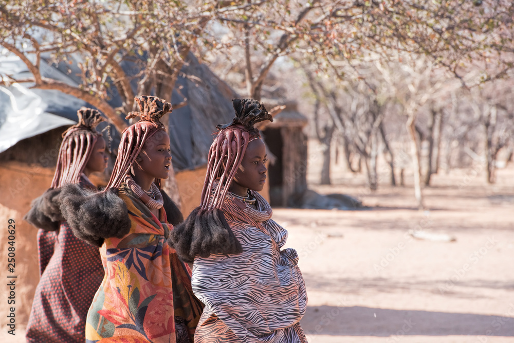 Himba village in Namibia - obrazy, fototapety, plakaty 