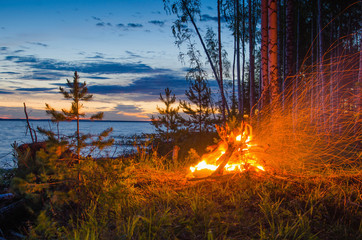 Wall Mural - Big night bonfire by the river at sunset forest glade, flame, sparks.